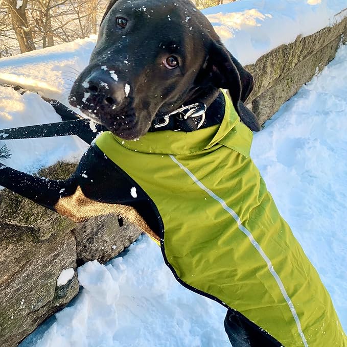 Mile High Life Dog Raincoat, Adjustable Waterproof Reflective Rain Jacket for Small Medium Large Dogs, Lightweight Breathable Pet Rain Coat with Leash Hole(Lime Yellow,M Chest 26-32")