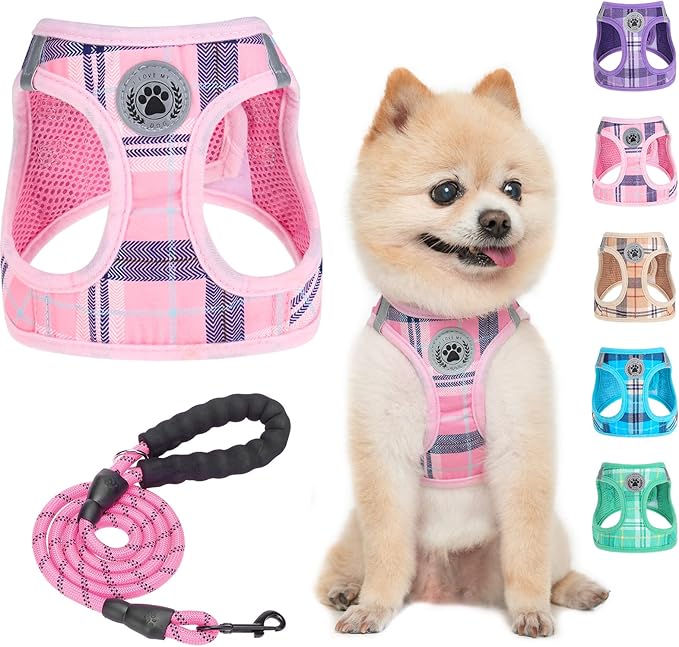 BEAUTYZOO Small Dog Harness and Leash Set,Step in No Choke No Pull Soft Mesh Dog Harnesses Reflective for Extra-Small Medium Puppy Dogs and Cats, Plaid Dog Vest Harness for XS S Pets, Pink S