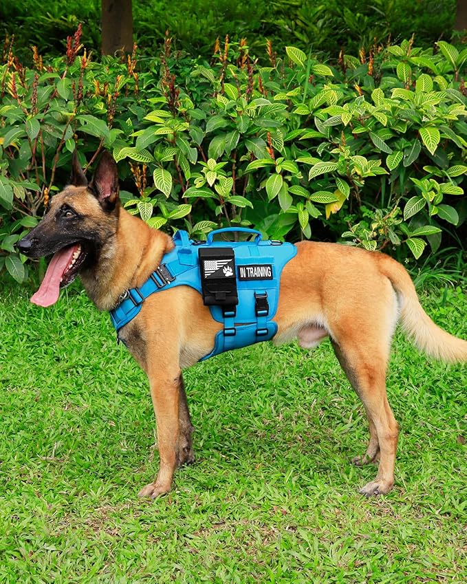 Tactical Dog Harness - PETNANNY Dog Harness Service Dog Vest for Large Breed Dog, Hook and Loop Panel for Service Dog Patchs, Work Dog MOLLE Vest with Handle for Walking Hiking Training(Blue,L)
