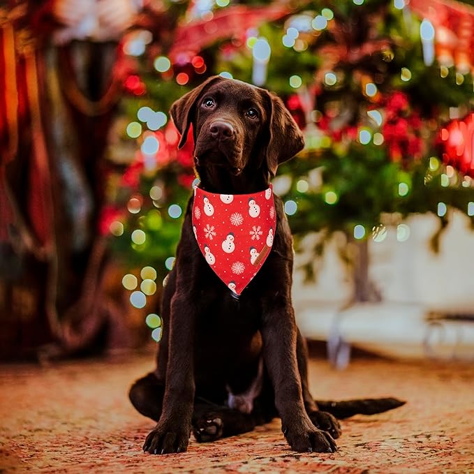 ADOGGYGO Christmas Dog Bandana, Snowman Xmas Pet Scarf, Premium Durable Fabric, Christmas Bandanas for Medium Large Dogs Pets (Large)