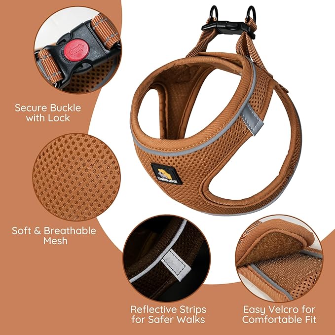 BELLA & PAL Puppy Harness with Leash Set, Step in Harness for Small Dogs, Dog Air Mesh Dog Vest Harness with Reflective Strip, No Pull No-Chock Harness for XXS, XS, Small, Medium Dog Cat (Mokka, M)