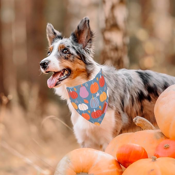 ADOGGYGO Thanksgiving Dog Bandana - Blue Orange Pumpkin Scarf, Adjustable Fit Fall Bandanas for Medium Large Dogs Pets (Large)