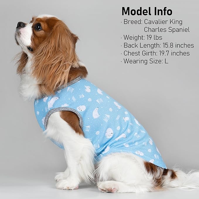 KYEESE 2 Pack Dog Cooling Shirts Breathable Instant Cooling Dogs Vest for Large Dogs Lightweight for Summer Dog Clothes XXL