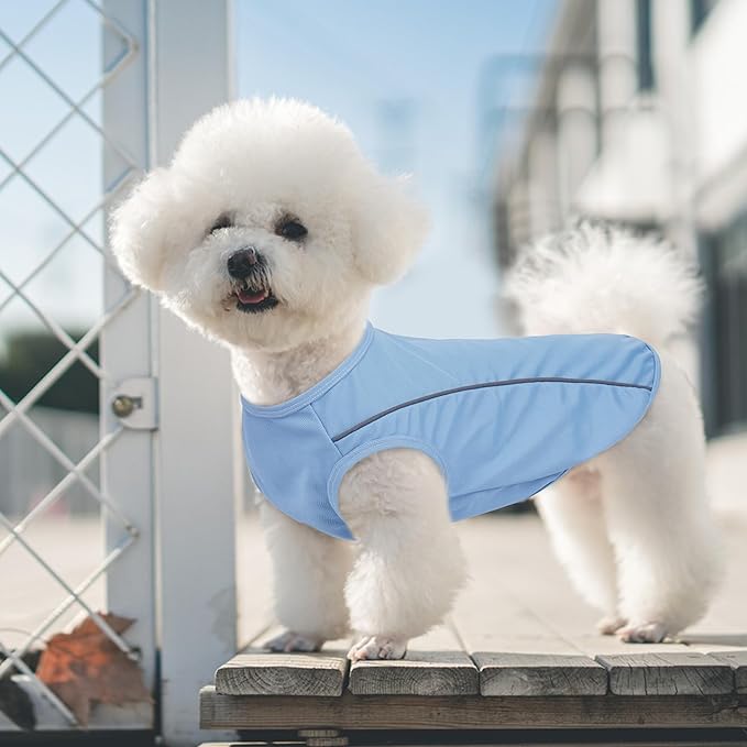 PUMYPOREITY 2Pack Mesh Dog Shirt, Dog T-Shirt with Reflective Strip Safety for Night Walking, Soft Breathable Stretchy Tank Top Vest, Stretchy Pet Shirt, Blue, M