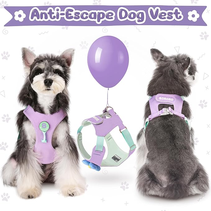 Dog Harness and Leash Set with 2 Flower Patches, No Pull Adjustable Puppy Harness, Step in No Chock Dog Vest for Small Medium Dogs Puppy and Cats(Green, XS)