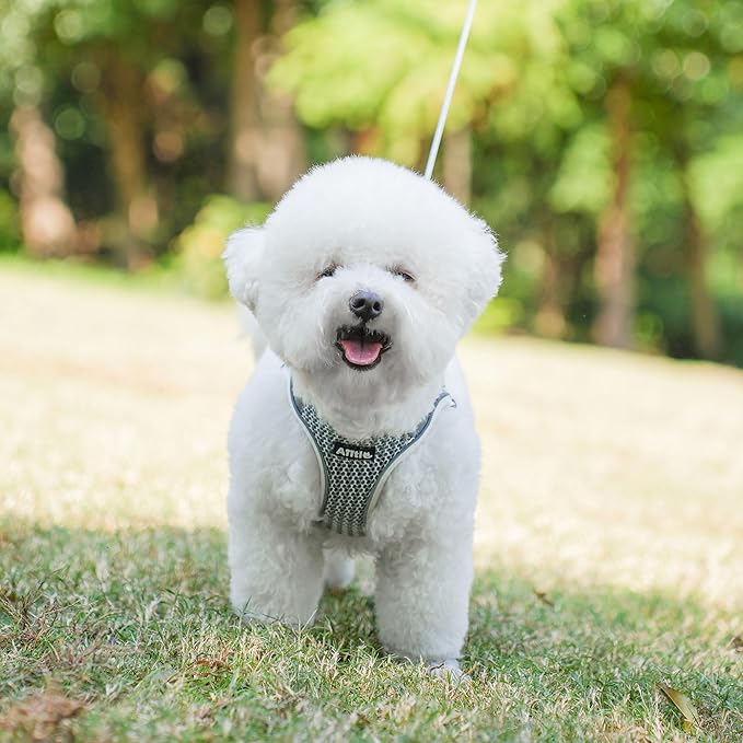 AIITLE Step in Dog Harness and Leash Set for Walking - Adjustable Dog Harness with Padded Vest for All Weather, Reflective Adjustable Pet Harness, Easy to Put on Small Dogs Beige S