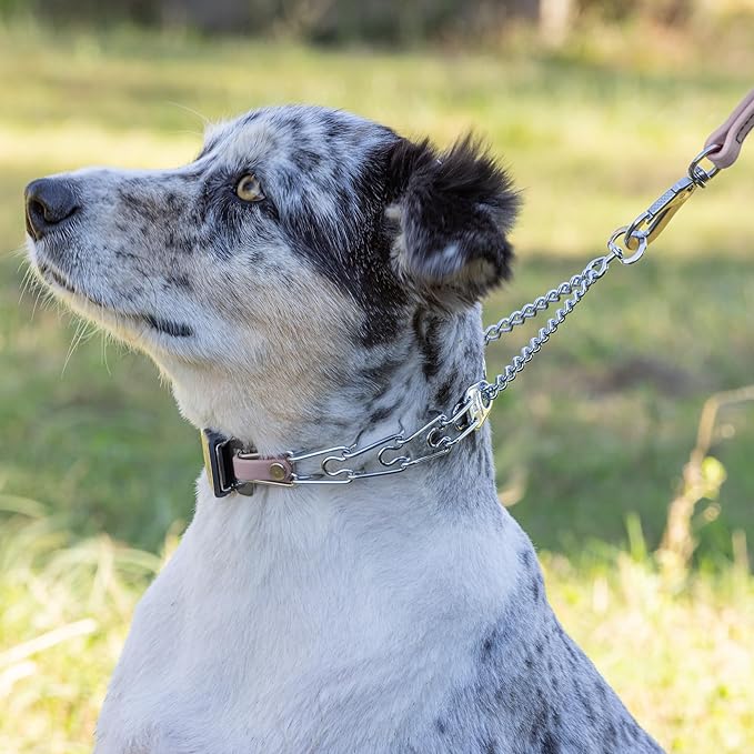 Herm Sprenger Chrome Plated Steel Dog Collar with Quick Release ClicLock Buckle and Biothane Insert Training Collar for Dogs Made in Germany (Pastel Purple, 16in x 2.25mm(Neck Size up to 13-14in))