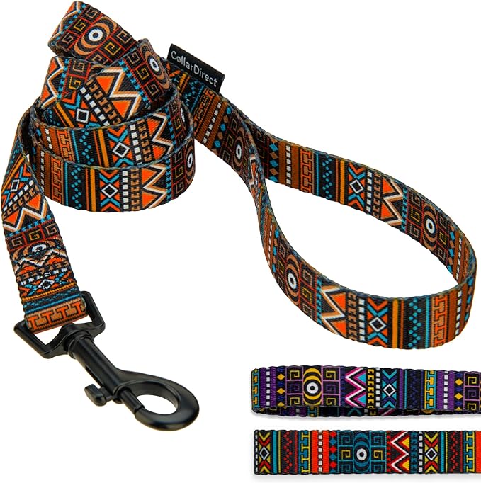 CollarDirect Aztec Dog Leash Nylon Tribal Pattern Cat Pet Leashes for Small Medium Large Dogs Puppy Lead 5 FT Long for Walking (Aztec Sunset, M, New)