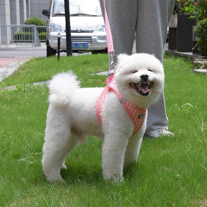 AIITLE No Pull Dog Harness and Leash Set, Step in No Chock Soft Mesh Dog Harnesses Reflective for Extra-Small Puppy Dogs and Cats, Plaid Dog Vest Harness for Pets Watermelon XXS