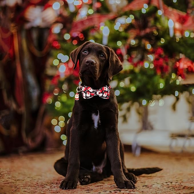 ADOGGYGO Christmas Dog Collar with Detachable Bowtie, Adjustable Red Santa Pet Christmas Bow Collars for Small Medium Large Dogs (Large)