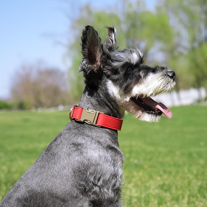 PET ARTIST Bright & Classic Leather Dog Collar, Durable & Heavy Duty Dog Collars with Quick Release Metal Buckle, Adjustable Nylon Padded Pet Collar for Small Dogs Girl, Neck Fit 9-14"