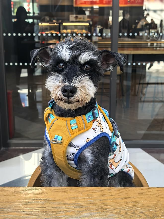 Dog Clothes Puppy Cute Dinosaur Pet Shirt Dog Vest Cat Clothes Doggie Boy Girl T Shirts for Small Dogs Cat Teacup Chihuahua Yorkie (Dino Vest, Small)