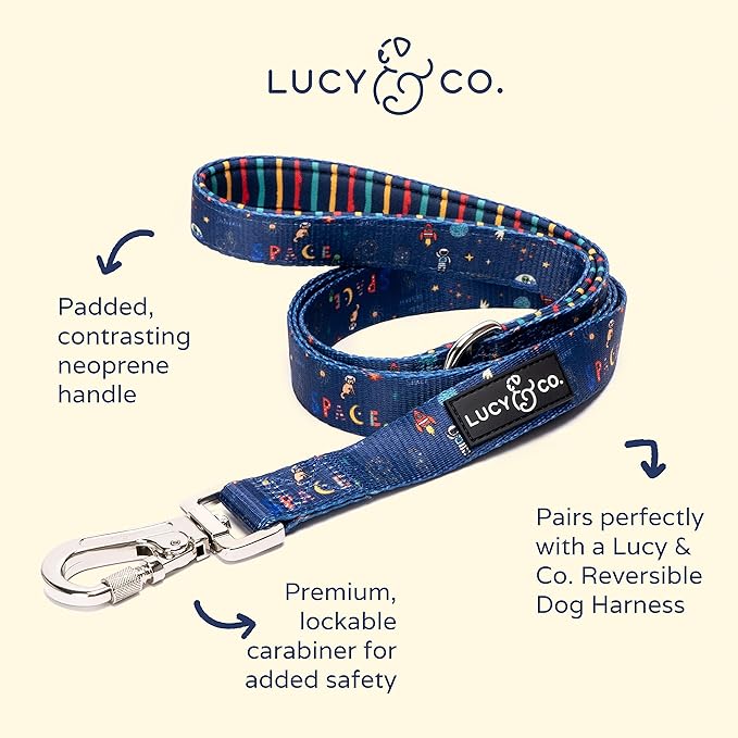 Lucy & Co. 5ft Designer Dog Leash - Best for Big, Small or Medium Puppies - Space Doodle, Large