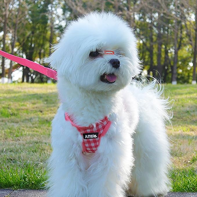 AIITLE Breathable Mesh Dog Vest Harness, No Pull Escape Proof Vest Harnesses with Reflective Bands, Adjustable Plaid Pet Outdoor Harnesses for Small and Medium Dogs Watermelon M