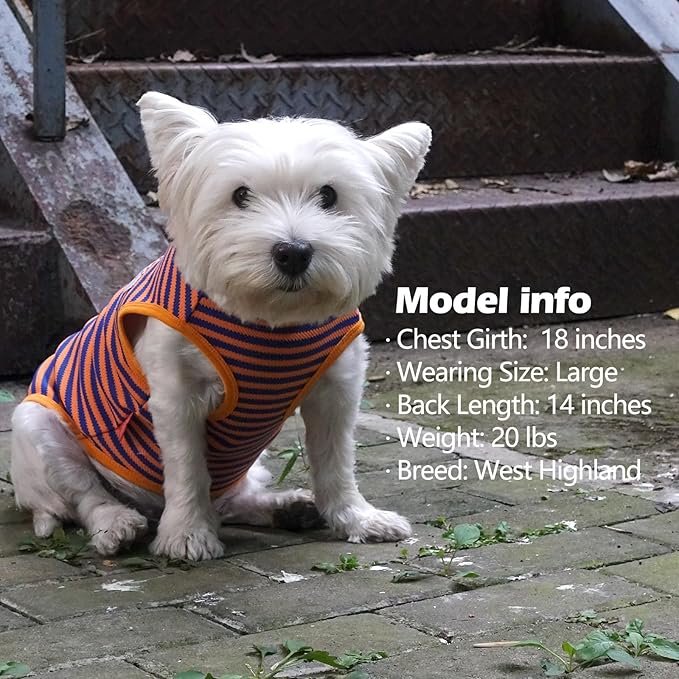 KYEESE 2Pack Dog Shirts Striped for Small Pets Soft Stretchy Puppy T-Shirts Lightweight Canine Tank Top Sleeveless Pet Vest Breathable, X-Large, Orange+Green
