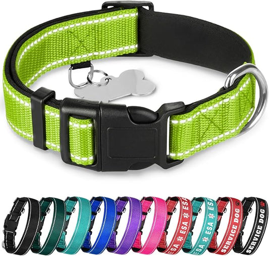 TECEUM Reflective Pet Collar – Acid Green – M – Extra Soft Padding – Basic Nylon Dog Collar – Quick Release Buckle – Fits Small, Medium and Large Dogs, Puppies, Cats – ESA & Service Dog Options