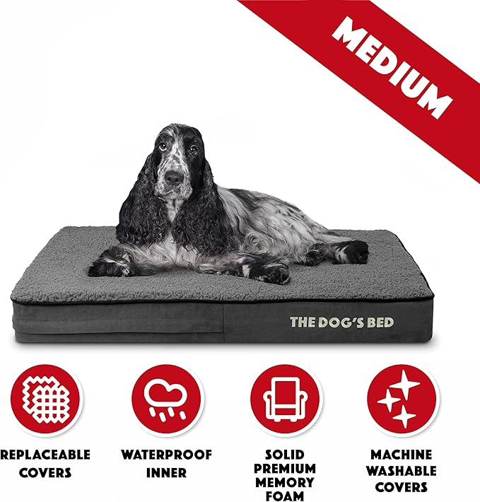 The Dog’s Bed Orthopedic Memory Foam Dog Bed, Dark Grey Plush Medium 34x22, Pain Relief for Arthritis, Hip & Elbow Dysplasia, Post Surgery, Lameness, Supportive, Calming, Waterproof Washable Cover