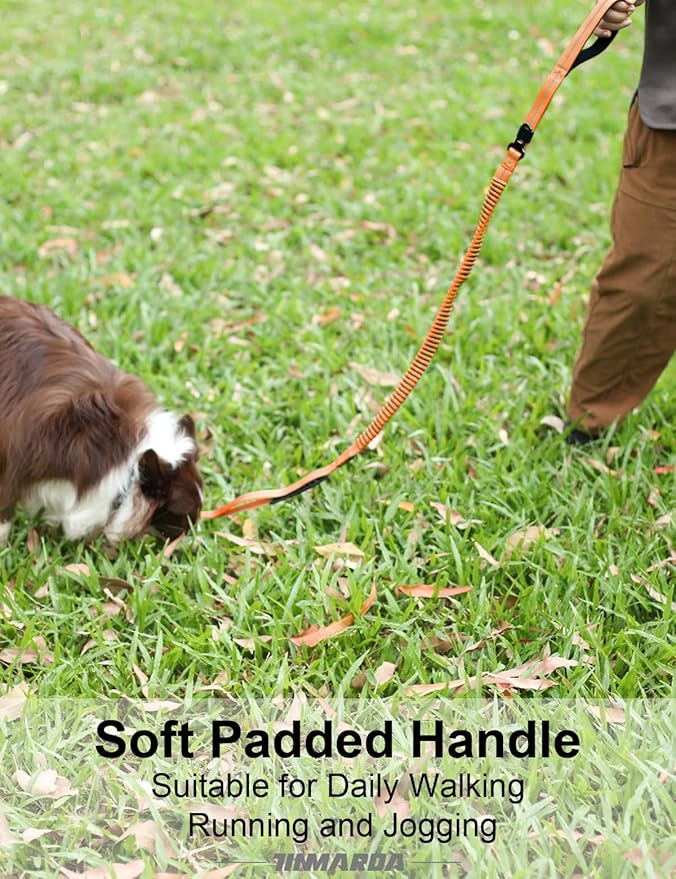 Heavy Duty Dog Leash, 4-6FT Shock Absorbing Dog Leashes with Traffic Handle and Comfortable Padded Handles, Advanced Easy Metal Clip, No Pull Reflective Leash for Medium Large Dogs That Pull (Orange)