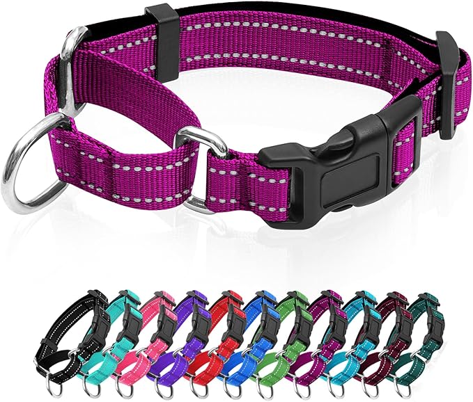Reflective Martingale Dog Collars. Dog Collar with Quick Release Buckle. Adjustable Soft Padded Breathable Nylon Pet Collar Suitable for Puppies for Small Medium Large Dogs.