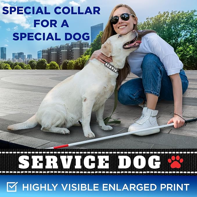 TECEUM Reflective Pet Collar – Black - Service Dog – L – Extra Soft Padding – Basic Nylon Dog Collar – Quick Release Buckle – Fits Small, Medium and Large Dogs, Puppies, Cats