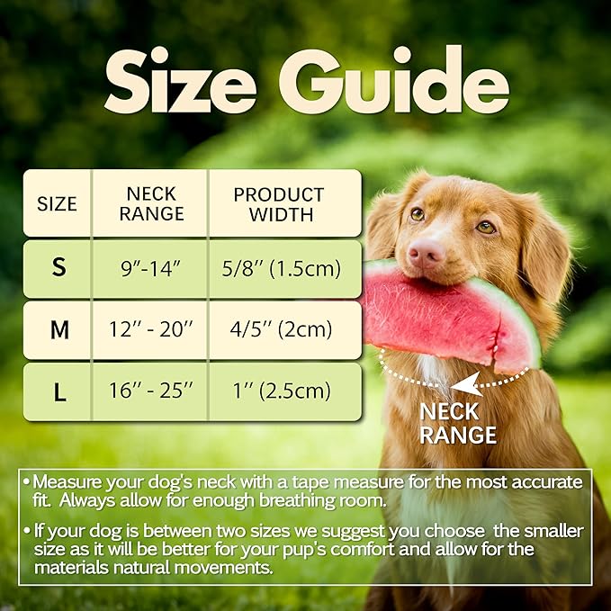 Cute Dog Collar, Summer Watermelon Print Reflective Padded Collar with Soft Neoprene, Adjustable Lightweight Pet Collar for Small Dogs, Puppies,Neck Size 9’’-14’’ (Watermelon, S)