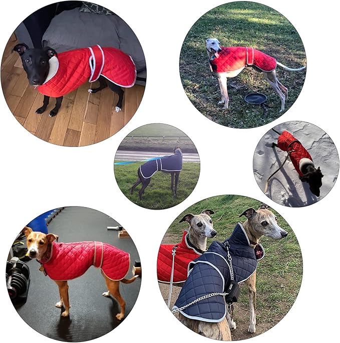 Geyecete Warm Thermal Quilted Greyhound Coat with Harness Hole, Dog Winter Coat with Warm Fleece Lining, Outdoor Dog Apparel for Dogs-Blue-M