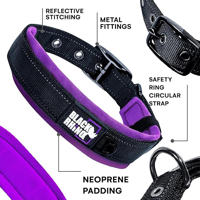 Black Rhino Extra Large Dog Collar - Adjustable Reflective Heavy Duty Wide Dog Collar with Ultra-Soft Neoprene Padding - Weatherproof, Durable, and Comfortable for Active Dogs - Purple and Black