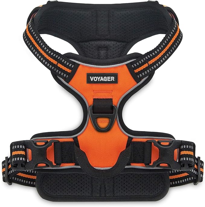 No Pull Dog Harness for Large Dogs, Dual Leash Attachments, Adjustable Soft but Strong Pet Harness with 3M Reflective Technology, Orange Nylon, XS (Chest: 13-16")