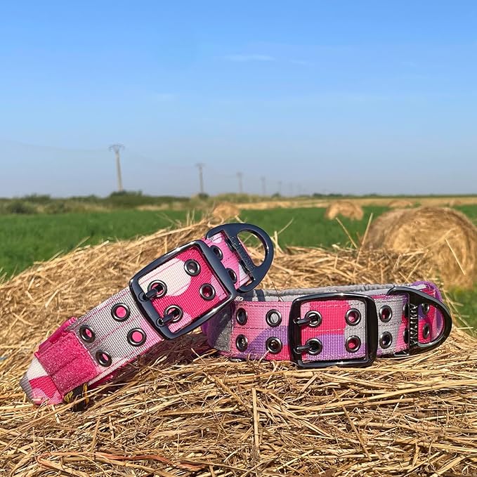 ADITYNA Heavy Duty Dog Collar for Extra-Large Dogs - Camo Pink Collar with Handle for Training, and Walking - Wide, Tactical, Soft Neoprene Padded
