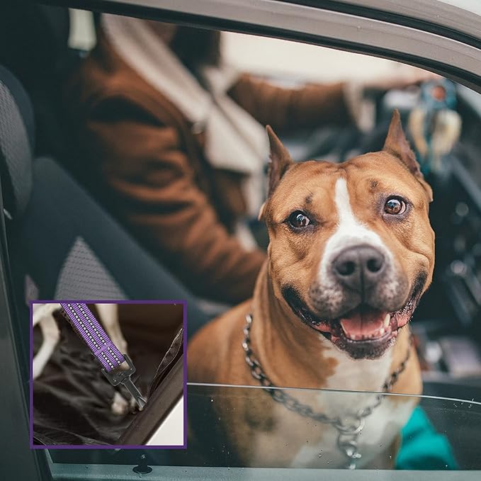 No Pull Dog Harness for Small Dogs, Adjustable No Choke Pet Vest with Dog Leash Fit Smart Reflective Pet Walking Harness for Training Easy Control Soft Handle Purple Camo S