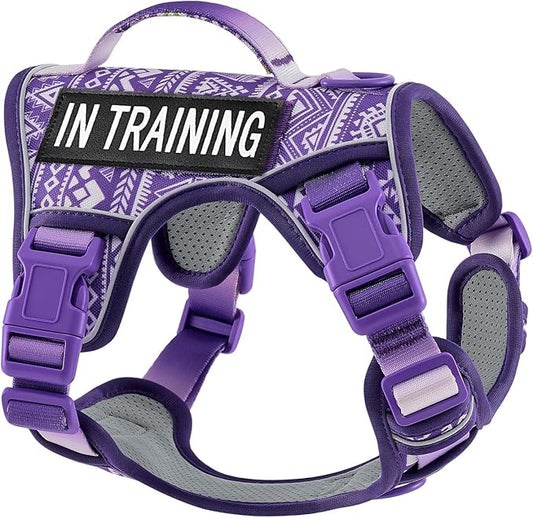 Dog Harness for X-Small Dog Breed, Light Pet Vest Harness with 2 Leash Clips and 3 Buckles, Easy to Wear, Adjustable Reflective Soft Padded, Boston Terrier, Beagle, Poodles, XS