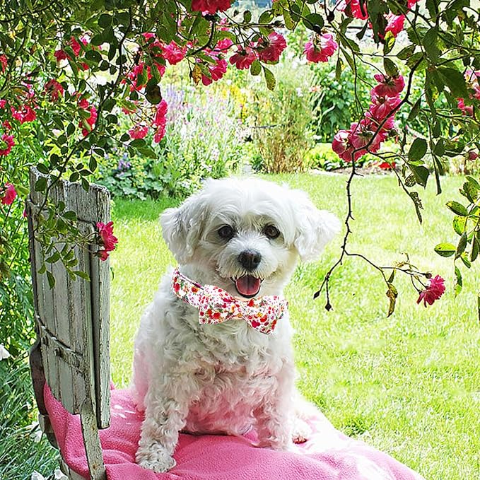 Elegant little tail Dog Collar, Pink Rose Print Pet Collar Summer Dog Collar Durable Metal Buckle Dog Collars Cotton Pet Adjustable Dog Collars for Small Dogs