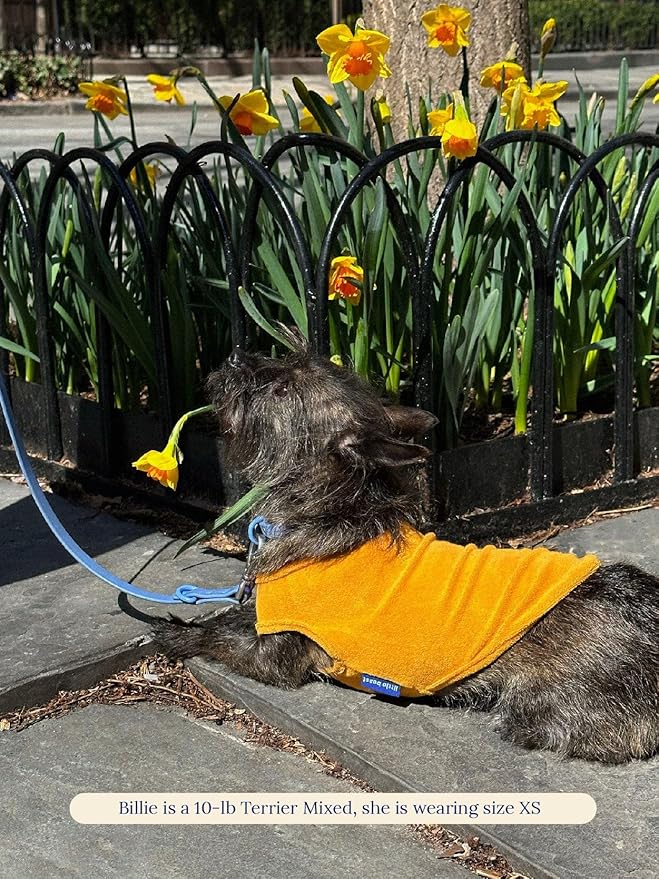 ADEDAS Sleeveless Shirt - Orange XL