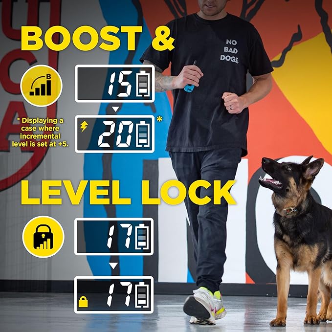 Dogtra E-Collar Tom Davis 280C 2.0 [2025 Edition], Boost & Lock, Waterproof, 1/2-Mile Range Dog Training Collar with Remote, Rechargeable, 127 Levels, Vibration, Bungee, No Bad Dogs Trainer