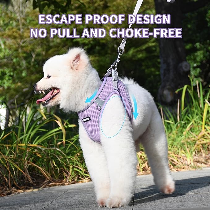 AIITLE Puppy Harness and Leash Set for Walking, Step in Dog Harness, Soft Breathable Pet Supplies, Reflective Bands, for Extra Small Dogs and House Cats Purple XXXS