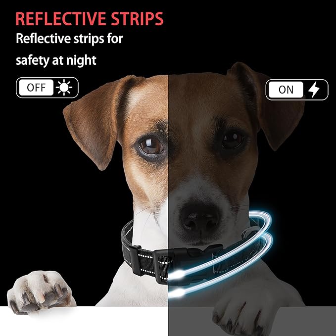 Reflective Dog Collar with Safety Locking Buckle, Adjustable Soft Breathable Nylon Collars for Small, Medium and Large Dogs(Collar+Leash XS Width 5/8" Black)