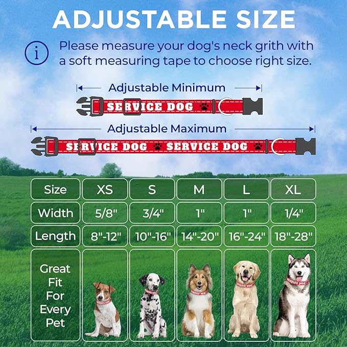 TECEUM Reflective Pet Collar – Red - Service Dog – XL – Extra Soft Padding – Basic Nylon Dog Collar – Quick Release Buckle – Fits Small, Medium and Large Dogs, Puppies, Cats