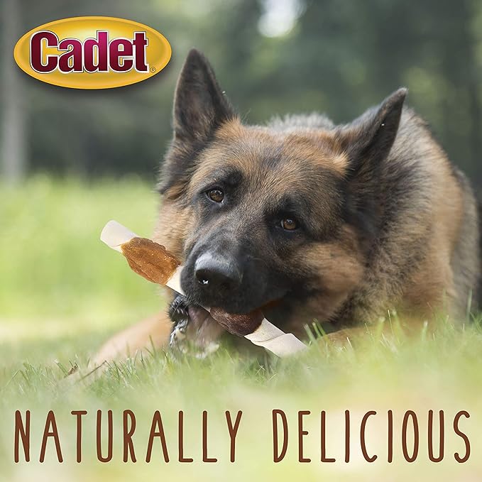 Cadet Gourmet Shish Kabob Dog Chews for Large Dogs, Rawhide Treats with Chicken and Sweet Potato, Healthy & Natural Beef Hide, 10-Inch Sticks, 8 Count