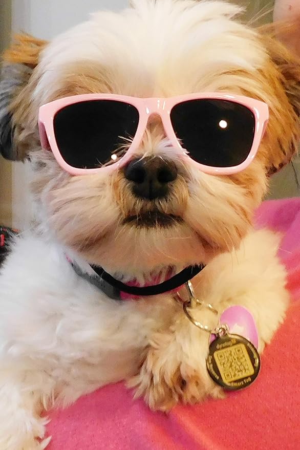 G014 Dog Cat Pet 80s Sunglasses Goggles for Small Breeds up to 15lbs (2-Pack Black+Pink)