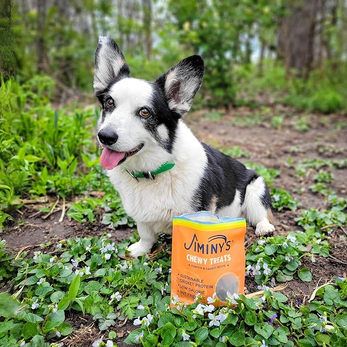 Jiminy's Chewy Cricket Training Treats for Dogs, Low Calorie, Hypoallergenic, Made in USA, 6oz, Pumpkin & Carrot (Pack of 1)
