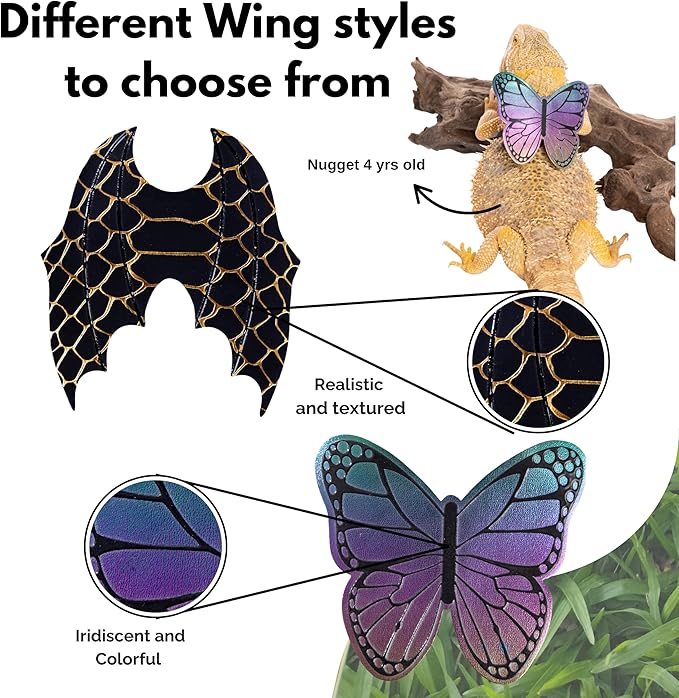 Adjustable Bearded Dragon Leash and Harness Set, Leopard Gecko Leash, Wings & Butterfly Wings, Comfortable Fit, Retractable and Escape-Proof Lizard Harness and Leash, Bearded Dragon Accessories.