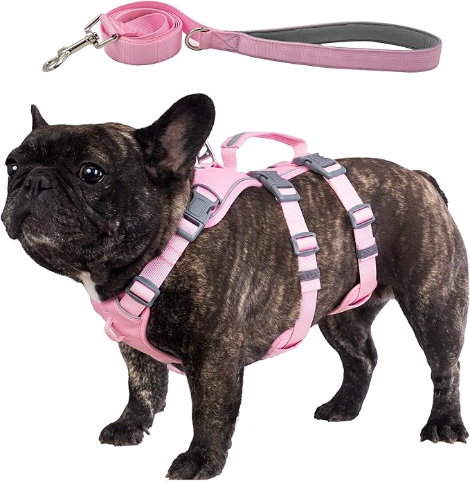 Escape Proof Dog Harness and Leash Set, Lightweight Dog Harness with Lift and Assist Handle, No Pull Reflective Pet Vest for Small Medium Dogs, Ideal for Puppy Walking and Training (Pink, M)