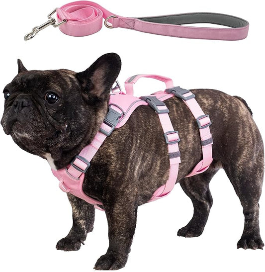 Escape Proof Dog Harness and Leash Set, Lightweight Dog Harness with Lift and Assist Handle, No Pull Reflective Pet Vest for Small Medium Dogs, Ideal for Puppy Walking and Training (Pink, M)