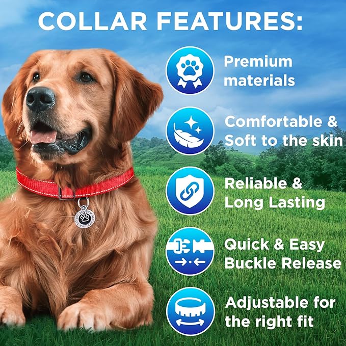 TECEUM Reflective Pet Collar – Red – XXS – Extra Soft Padding – Basic Nylon Dog Collar – Quick Release Buckle – Fits Small, Medium and Large Dogs, Puppies, Cats – ESA & Service Dog Options