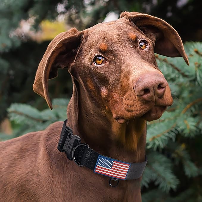 KCUCOP Heavy Duty Dog Collar - Adjustable Tactical Military Dog Collars with Metal Buckle, Quick Release, 2 D-Rings & Flag Patch for Medium & Large Dogs(Black-M)