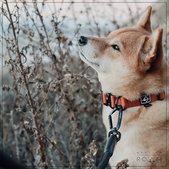 Made to ROAM Premium Dog Collar - Adjustable Heavy Duty Nylon Collar with Quick-Release Metal Buckle (Oregon Haze, Classic Size 3.5, Old Roam Logo)