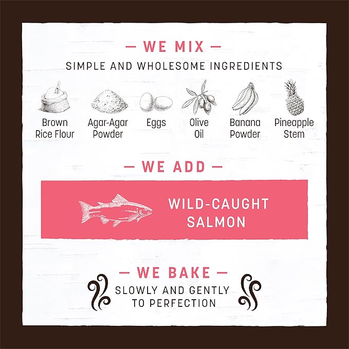 Earth Animal No Hide Medium Salmon Flavored Natural Rawhide Free Dog Chews Long Lasting Chew Sticks | Treats for Large Dogs | Great for Aggressive Chewers (3 Pack)