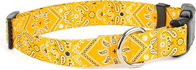 Country Brook Petz - Deluxe Yellow Bandana Dog Collar - Made in The U.S.A. - Country and Western Collection Featuring Rustic Designs (1 Inch, Extra Large)
