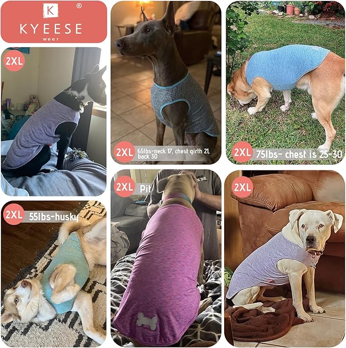 KYEESE 2 Pack Dog Shirts Quick Dry Soft Stretchy Pet T-Shirts with Reflective Label Tank Top Sleeveless Vest Sun Protection Dog Clothes for Small Dogs, XX-Large, Light Blue+Grey