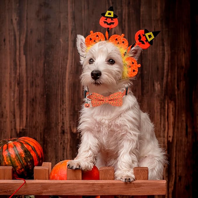ADOGGYGO Halloween Dog Collar with Detachable Bow, Adjustable Orange Pumpkin Halloween Bowtie Collars for Small Medium Large Dogs (Small)